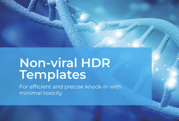 HDR-template-main.jpg