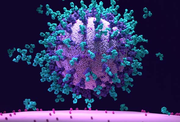 SARS-CoV-2-Pseudovirus.jpg
