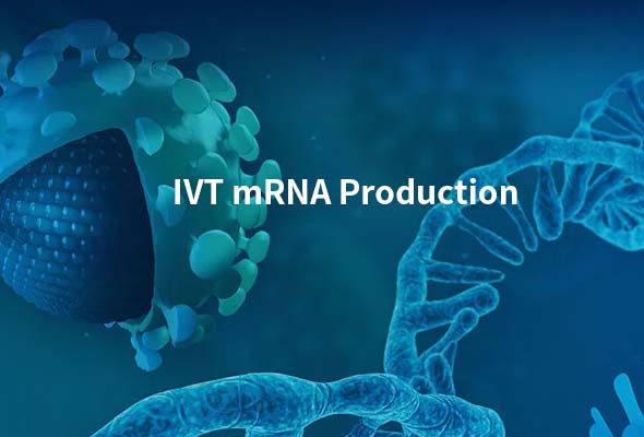 IVT-mRNA-production.jpg
