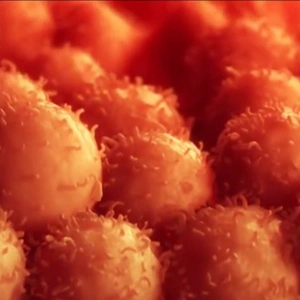 [ScaleReady] T cell expansion: G-Rex vs rocking/motion bioreactors