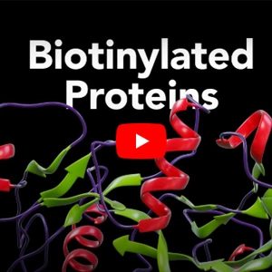 [R&D SYSTEMS] Biotinylated Proteins