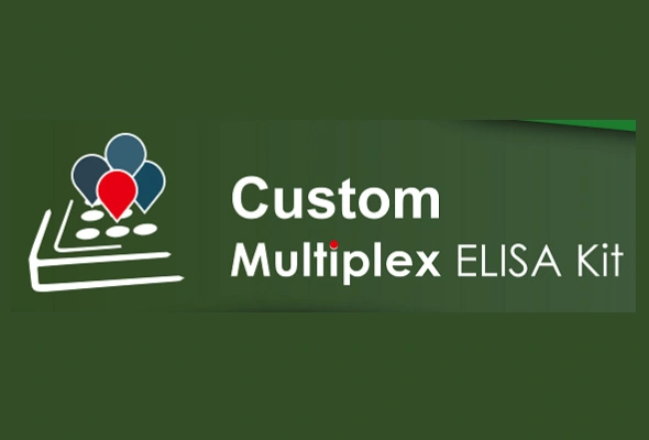 Multiplex ELISA Kit 제작서비스 이미지