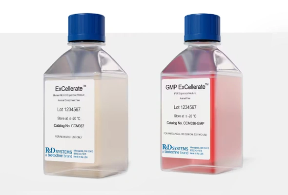 Animal-Free Cell Culture Media 이미지
