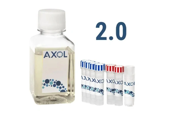 Xeno-Free Sensory Neuron Bundle Kit 이미지