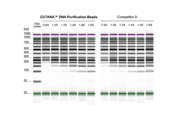 CUTANA™ DNA Purification Beads 이미지