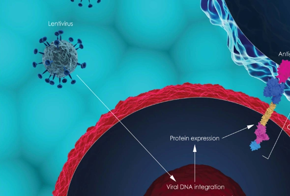 uBriGene Lentivirus Products 이미지