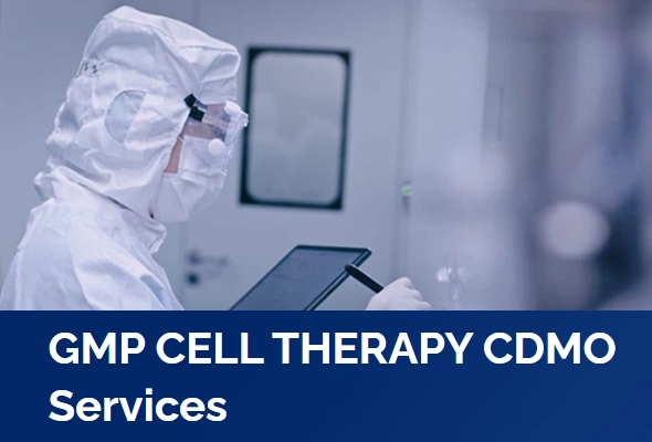 GMP 등급 Cell Therapy CDMO 서비스 이미지
