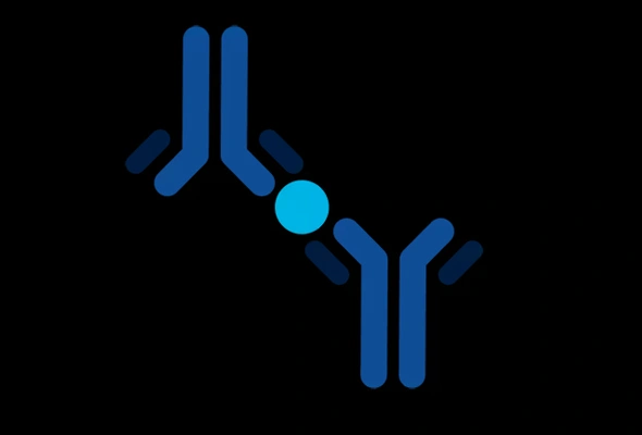 [R&D Systems] Neural Stem Cell and Differentiation Marker Antibody 이미지