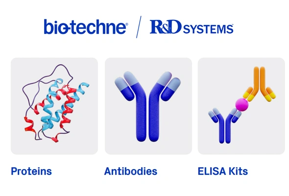 [R&D Systems] 이달의 신제품 이미지