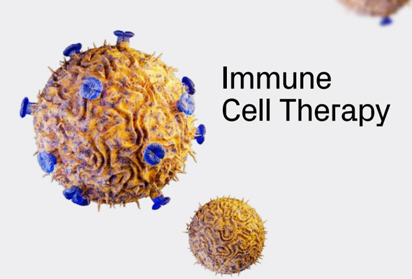 [R&D Systems] Immunotherapy Workflow 추천제품 이미지