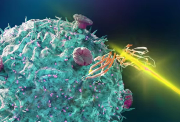 [R&D Systems] Flow Cytometry Workflow 추천제품 이미지