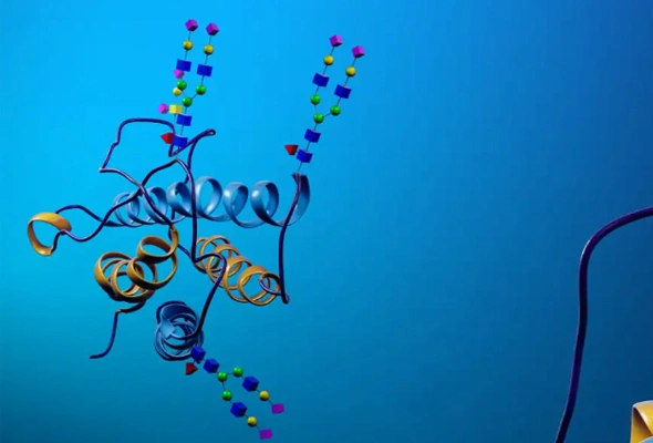 [R&D Systems] Glycan Labeling Kit | 글리칸 라벨링 이미지