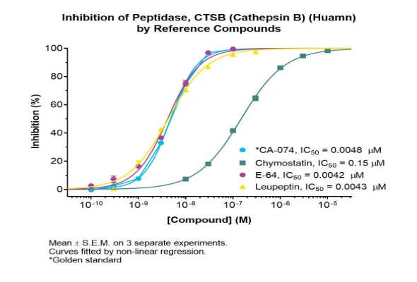 Lysosomal Enzyme Assay Service 이미지