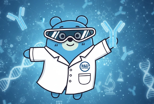 [R&D Systems] Antibodies 이미지