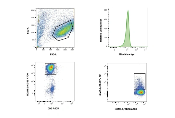 [R&D Systems] FlowX Human NK Cell Killing Flow Cytometry Kit 이미지