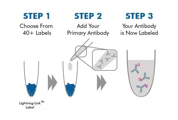 [Novus] Lightning-Link Antibody Labeling Kits 이미지