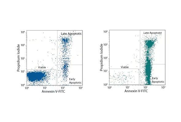 [R&D Systems] TACS Annexin V-FITC Apoptosis Detection Kit 이미지