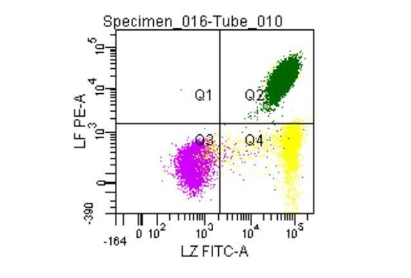 [Novus] Fixation and Permeabilization Flow Cytometry Kit 이미지