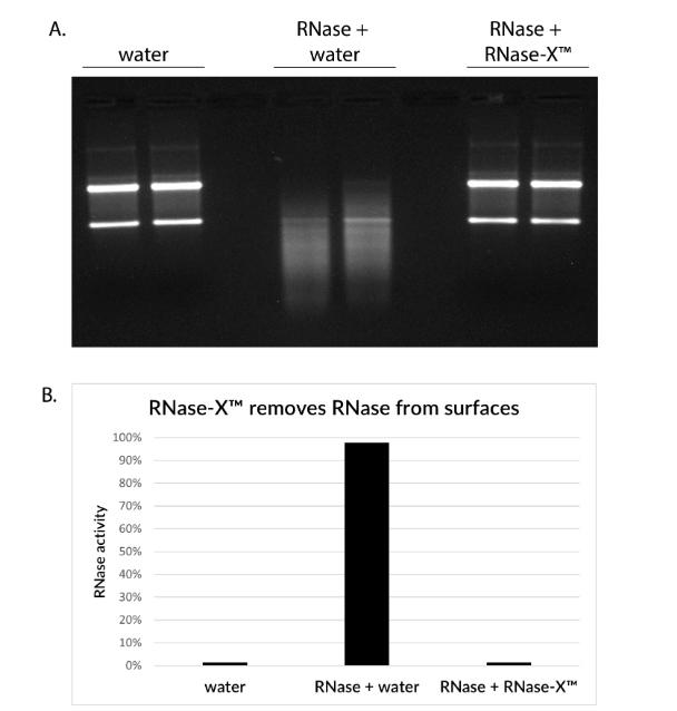 koma-RNase-X-result.png