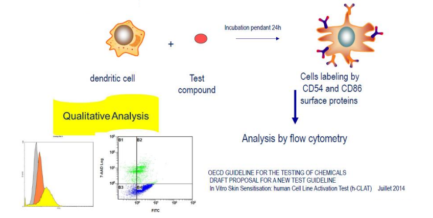 biopredic-skin-hCLAT-assay