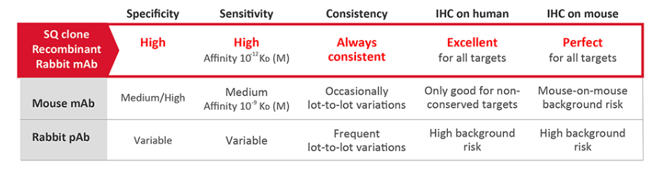 arigo-sql-clone-antibodies-advantages