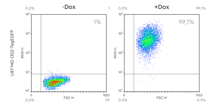 inducible-lentivirus-FACS-analysis