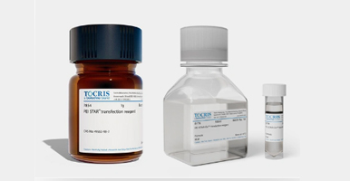 main-transfection.jpg