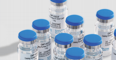 main-gmp-protein.jpg